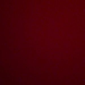 Meet your Posher, Rayne